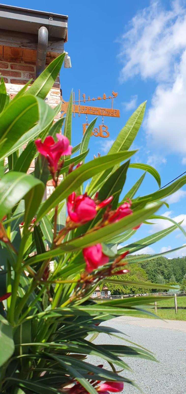 Bed and Breakfast Hof Ter Dreef Meise Esterno foto